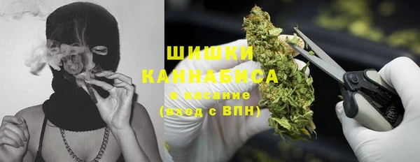 ГАЛЛЮЦИНОГЕННЫЕ ГРИБЫ Лиски