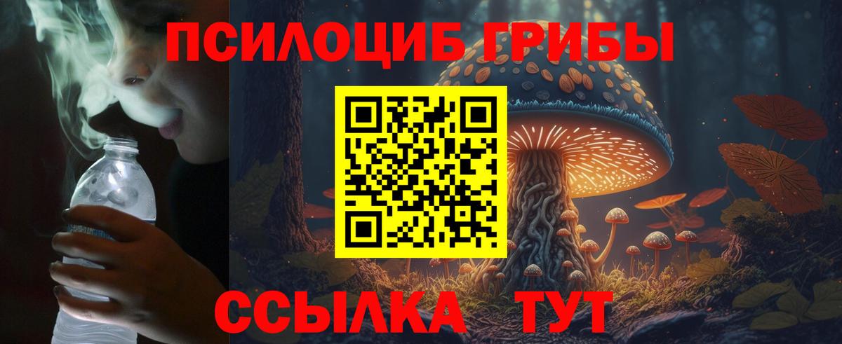 Гусь-Хрустальный  Псилоцибиновые грибы Cubensis  Псилоцибиновые грибы MAGIC MUSHROOMS  Вход с VPN 