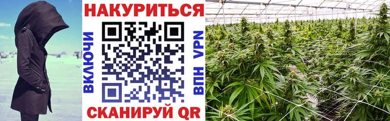 MEGA tor  Гусь-Хрустальный  Конопля план 